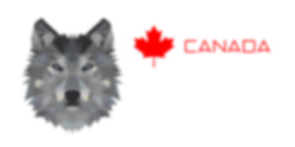 WTN Market (We The North)